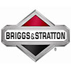 Briggs & Stratton